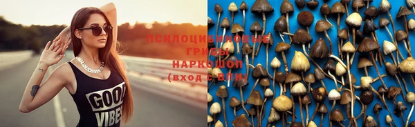 прущая мука Магадан